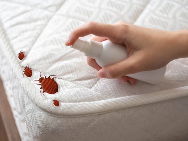 Best Emergency Pest Control  in Fremont, NE